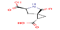 (1S,3R,6S)-4-oxo-5-azaspiro[2,4]heptane-1,6-dicarboxylicacid图片