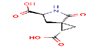 (1S,3S,6S)-4-oxo-5-azaspiro[2,4]heptane-1,6-dicarboxylicacid图片