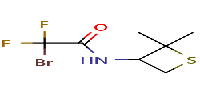 2-bromo-N-(2,2-dimethylthietan-3-yl)-2,2-difluoroacetamide图片