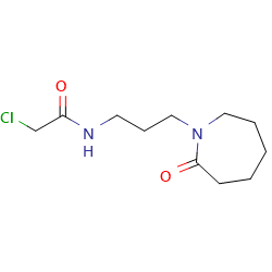 2-chloro-N-[3-(2-oxoazepan-1-yl)propyl]acetamide图片