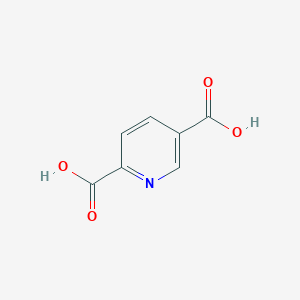 2,5-Pyridinedicarboxylic Acid-13C7图片