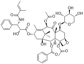 7-Xylosyltaxol B图片