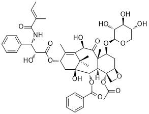 7-Xylosyl-10-deacetyltaxol B图片