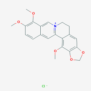 1-Methoxyberberine图片