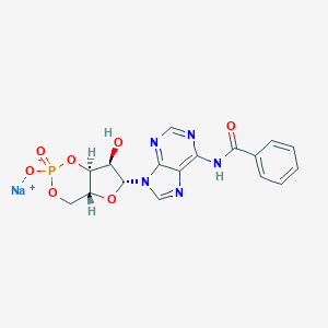 N6-Benzoyladenosine 3',5'-Cyclic Monophosphate Sodium Salt图片