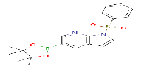 1-(phenylsulfonyl)-5-(4,4,5,5-tetramethyl-1,3,2-dioxaborolan-2-yl)-1H-pyrrolo[2,3-b]pyridine图片