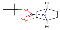 tert-butyl2-fluoro-7-azabicyclo[2,2,1]heptane-7-carboxylate图片