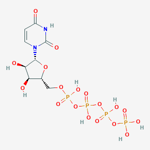 Uridine 5'-Tetraphosphate图片