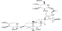 Isoastragaloside IV图片