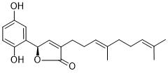 Ganomycin I图片