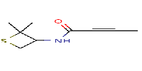 N-(2,2-dimethylthietan-3-yl)but-2-ynamide图片