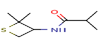 N-(2,2-dimethylthietan-3-yl)-2-methylpropanamide图片