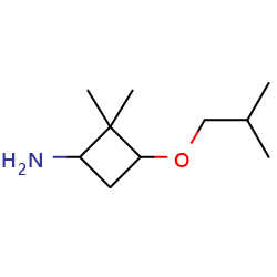 2,2-dimethyl-3-(2-methylpropoxy)cyclobutan-1-amine图片