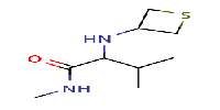 N,3-dimethyl-2-[(thietan-3-yl)amino]butanamide图片