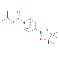 8-Boc-3-(4,4,5,5-tetramethyl-[1,3,2]dioxaborolan-2-yl)-8-aza-bicyclo[3,2,1]octane图片