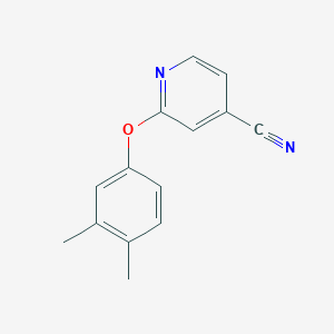 2-(3,4-Dimethylphenoxy)pyridine-4-carbonitrile图片