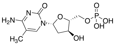 2'-Deoxy-5-methylcytidine-5'-monophosphate Disodium Salt图片