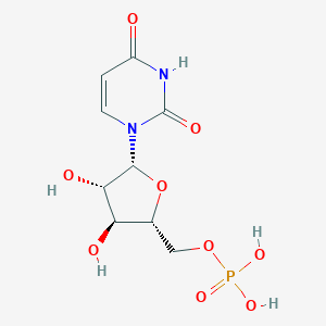 1-β-D-Arabinofuranosyluracil 5'-Monophosphate图片