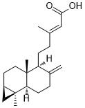 Metasequoic acid A图片