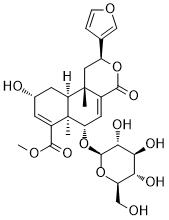 Dehydroborapetoside B图片