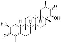 Triptocalline A图片