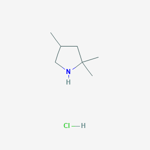 2,2,4-Trimethylpyrrolidine Hydrochloride图片