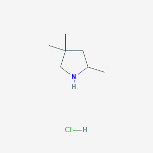 2,4,4-Trimethyl-pyrrolidine Hydrochloride图片