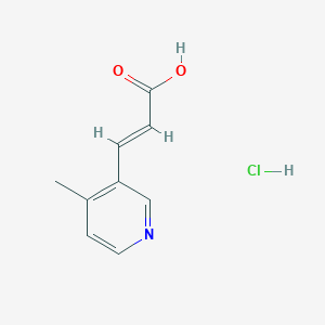 3-(4-methylpyridin-3-yl)prop-2-enoic acid hydrochloride图片