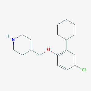 4-[(4-Chloro-2-cyclohexylphenoxy)methyl]piperidine图片