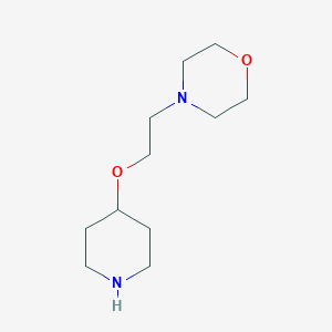 4-[2-(Piperidin-4-yloxy)ethyl]morpholine图片