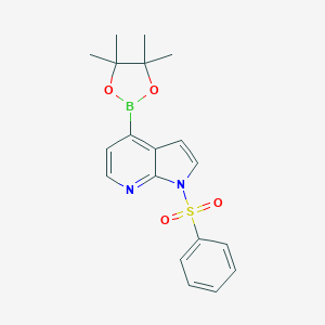 1-(苯磺酰基)-4-(4,4,5,5-四甲基-1,3,2-二氧硼杂环戊烷-2-基)-1H-吡咯并[2,3-b]吡啶图片