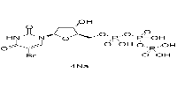 5-BrdUTP sodium salt图片