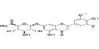 Chrysin-7-O-β-D-glucuronide图片