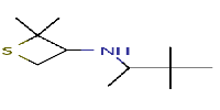 N-(3,3-dimethylbutan-2-yl)-2,2-dimethylthietan-3-amine图片
