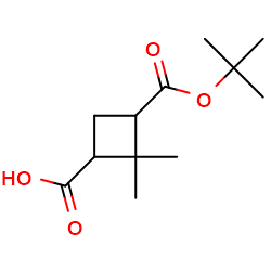 3-[(tert-butoxy)carbonyl]-2,2-dimethylcyclobutane-1-carboxylicacid图片