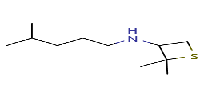 2,2-dimethyl-N-(4-methylpentyl)thietan-3-amine图片