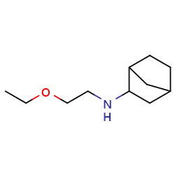 N-(2-ethoxyethyl)bicyclo[2,2,1]heptan-2-amine图片