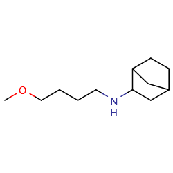 N-(4-methoxybutyl)bicyclo[2,2,1]heptan-2-amine图片