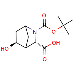 (1s,3s,4s,5s)-rel-2-boc-5-hydroxy-2-azabicyclo[2,2,1]heptane-3-carboxylicacid图片
