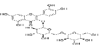 Quercetin 3-O-β-Gentiobioside图片