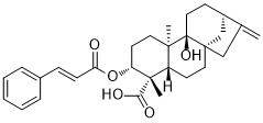3α-Cinnamoyloxypterokaurene L3图片