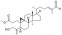 苏特品D图片
