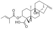 3α-Tigloyloxypterokaurene L3图片