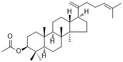 醋酸二丙二醇图片