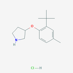 3-[2-(tert-Butyl)-4-methylphenoxy]pyrrolidinehydrochloride图片