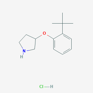 3-[2-(tert-Butyl)phenoxy]pyrrolidine hydrochloride图片