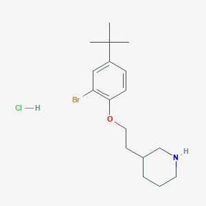 3-{2-[2-Bromo-4-(tert-butyl)phenoxy]-ethyl}piperidine hydrochloride图片