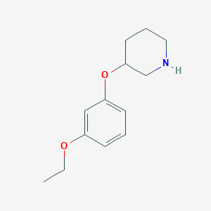 3-(3-Ethoxyphenoxy)piperidine图片