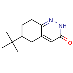 6-tert-butyl-2,3,5,6,7,8-hexahydrocinnolin-3-one图片