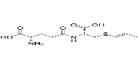 γ-Glutamyl-S-1-propenyl cysteine图片